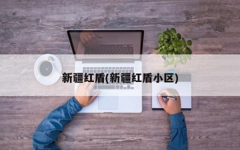 新疆红盾(新疆红盾小区)