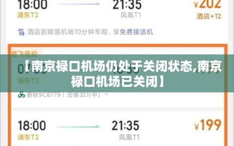 【南京禄口机场仍处于关闭状态,南京禄口机场已关闭】