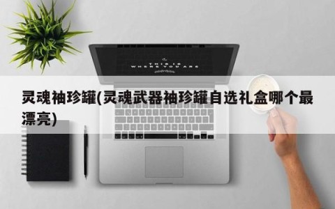 灵魂袖珍罐(灵魂武器袖珍罐自选礼盒哪个最漂亮)