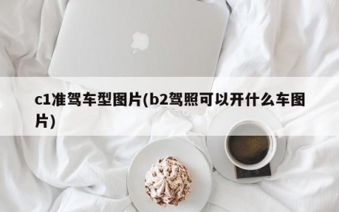 c1准驾车型图片(b2驾照可以开什么车图片)