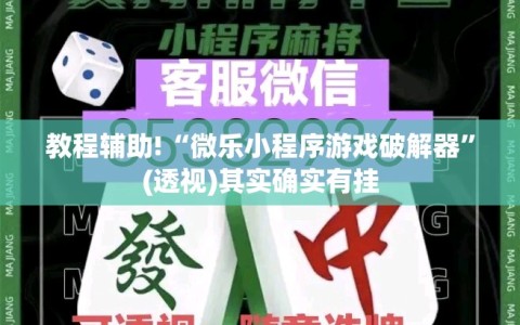 教程辅助!“微乐小程序游戏破解器”(透视)其实确实有挂