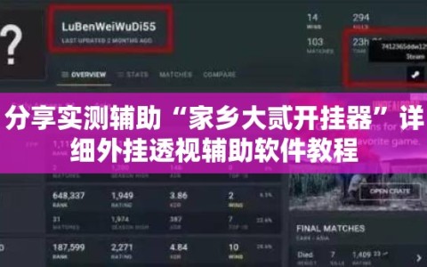 分享实测辅助“家乡大贰开挂器”详细外挂透视辅助软件教程