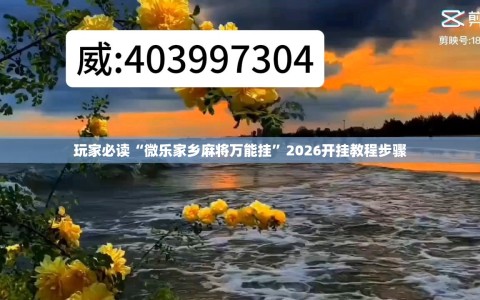 玩家必读“微乐家乡麻将万能挂”2026开挂教程步骤