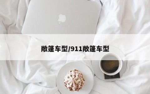 敞篷车型/911敞篷车型