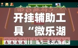 开挂辅助工具“微乐湖南麻将三打哈有没有开挂神器(透视)”开挂辅助脚本+详细开挂安装教程