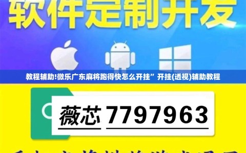 教程辅助!微乐广东麻将跑得快怎么开挂”开挂(透视)辅助教程