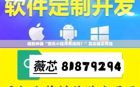 辅助神器“微乐小程序有挂吗？”其实确实有挂