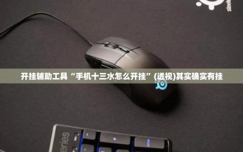 开挂辅助工具“手机十三水怎么开挂”(透视)其实确实有挂