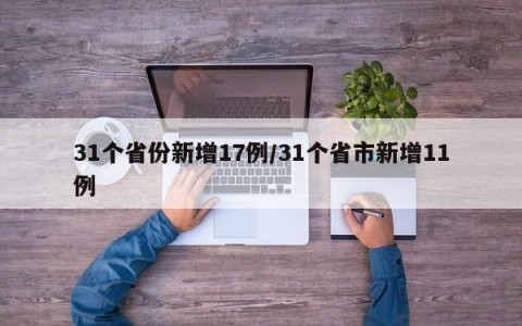 31个省份新增17例/31个省市新增11例