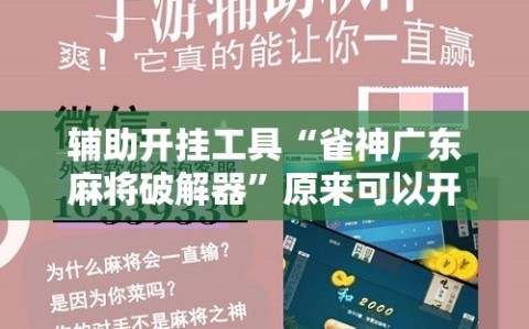 辅助开挂工具“雀神广东麻将破解器”原来可以开挂