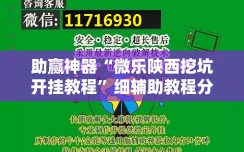 助赢神器“微乐陕西挖坑开挂教程”细辅助教程分享