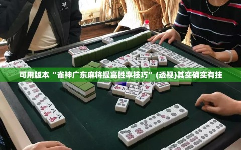 可用版本“雀神广东麻将提高胜率技巧”(透视)其实确实有挂