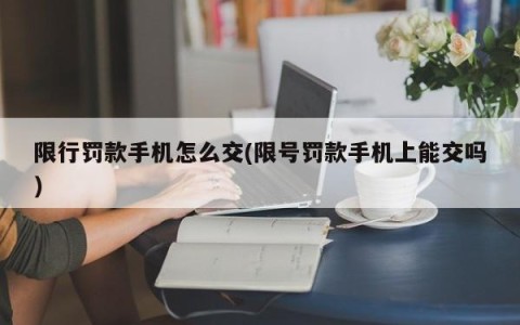 限行罚款手机怎么交(限号罚款手机上能交吗)