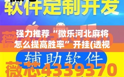 强力推荐“微乐河北麻将怎么提高胜率”开挂(透视)辅助教程