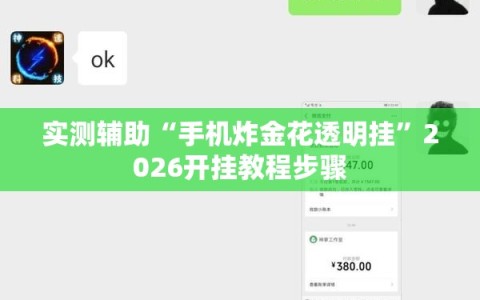 实测辅助“手机炸金花透明挂”2026开挂教程步骤