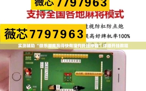实测辅助“微乐湖南跑得快有没有开挂神器”详细开挂教程