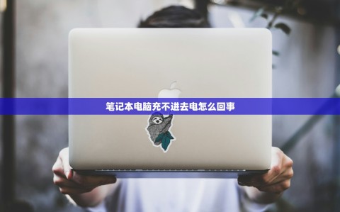 笔记本电脑充不进去电怎么回事