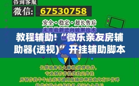 教程辅助!“微乐亲友房辅助器(透视)”开挂辅助脚本+详细开挂安装教程