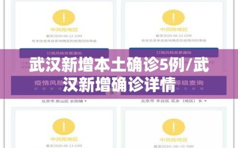武汉新增本土确诊5例/武汉新增确诊详情