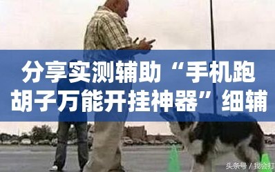 分享实测辅助“手机跑胡子万能开挂神器”细辅助教程分享