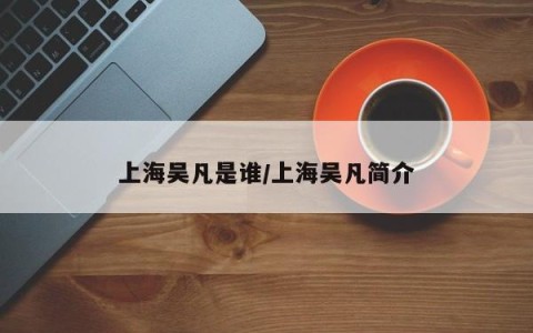 上海吴凡是谁/上海吴凡简介