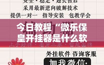 今日教程“微乐保皇开挂器是什么软件”开挂详细教程