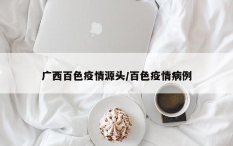 广西百色疫情源头/百色疫情病例