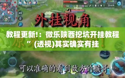 教程更新!：微乐陕西挖坑开挂教程”(透视)其实确实有挂