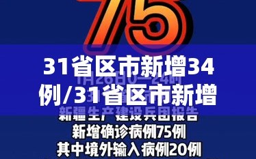 31省区市新增34例/31省区市新增确诊43例 新闻