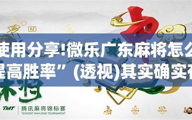 使用分享!微乐广东麻将怎么提高胜率”(透视)其实确实有挂