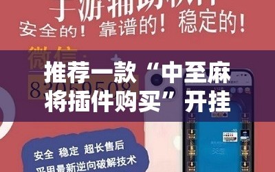 推荐一款“中至麻将插件购买”开挂辅助脚本+详细开挂安装教程