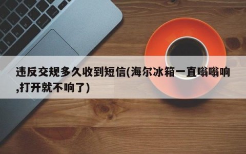违反交规多久收到短信(海尔冰箱一直嗡嗡响,打开就不响了)