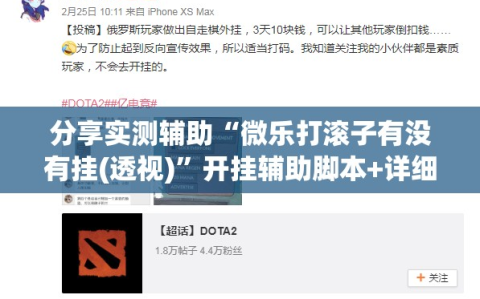 分享实测辅助“微乐打滚子有没有挂(透视)”开挂辅助脚本+详细开挂安装教程