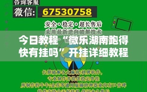 今日教程“微乐湖南跑得快有挂吗”开挂详细教程