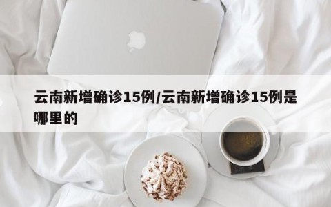 云南新增确诊15例/云南新增确诊15例是哪里的
