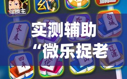 实测辅助“微乐捉老麻子开挂神器”开挂(透视)辅助神器
