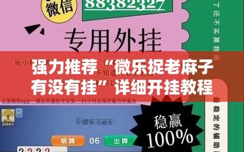 强力推荐“微乐捉老麻子有没有挂”详细开挂教程