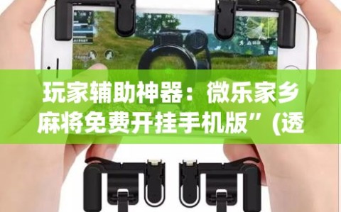 玩家辅助神器：微乐家乡麻将免费开挂手机版”(透视)其实确实有挂