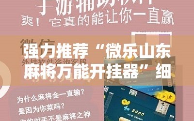 强力推荐“微乐山东麻将万能开挂器”细辅助教程分享