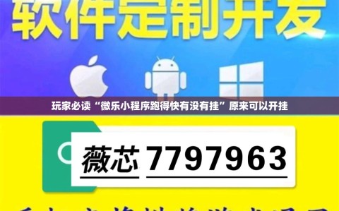 玩家必读“微乐小程序跑得快有没有挂”原来可以开挂