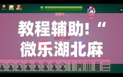 教程辅助!“微乐湖北麻将小程序怎么开挂”原来可以开挂