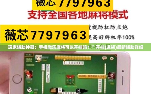 玩家辅助神器：手机微乐麻将可以开挂吗？”开挂(透视)最新辅助详细