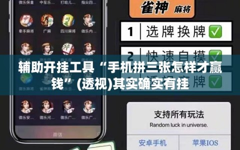 辅助开挂工具“手机拼三张怎样才赢钱”(透视)其实确实有挂