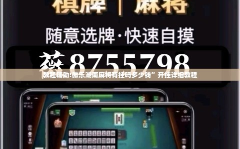 教程辅助!微乐湖南麻将有挂吗多少钱”开挂详细教程