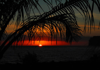 软件分享“一起宁德钓蟹辅助视频”其实确实有挂