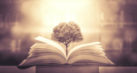 安装程序教程“福建大玩家辅助器”开挂(透视)辅助教程