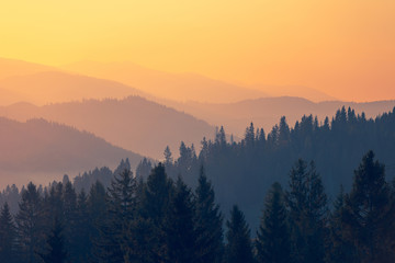 分享实测辅助“新全游有挂吗”附开挂脚本详细教程