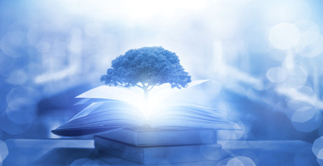 教程辅助“手机斗地主赢钱的游戏”(透视)其实确实有挂