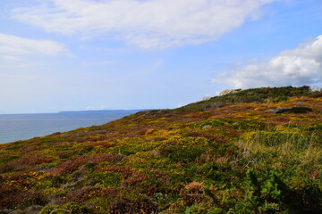 实测教程”多乐跑得快怎么让系统给你发好牌”最新辅助详细教程