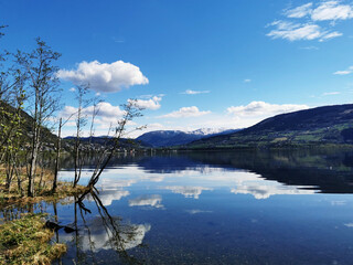 分享教程“哈灵斗地主记牌器”开挂(透视)辅助教程